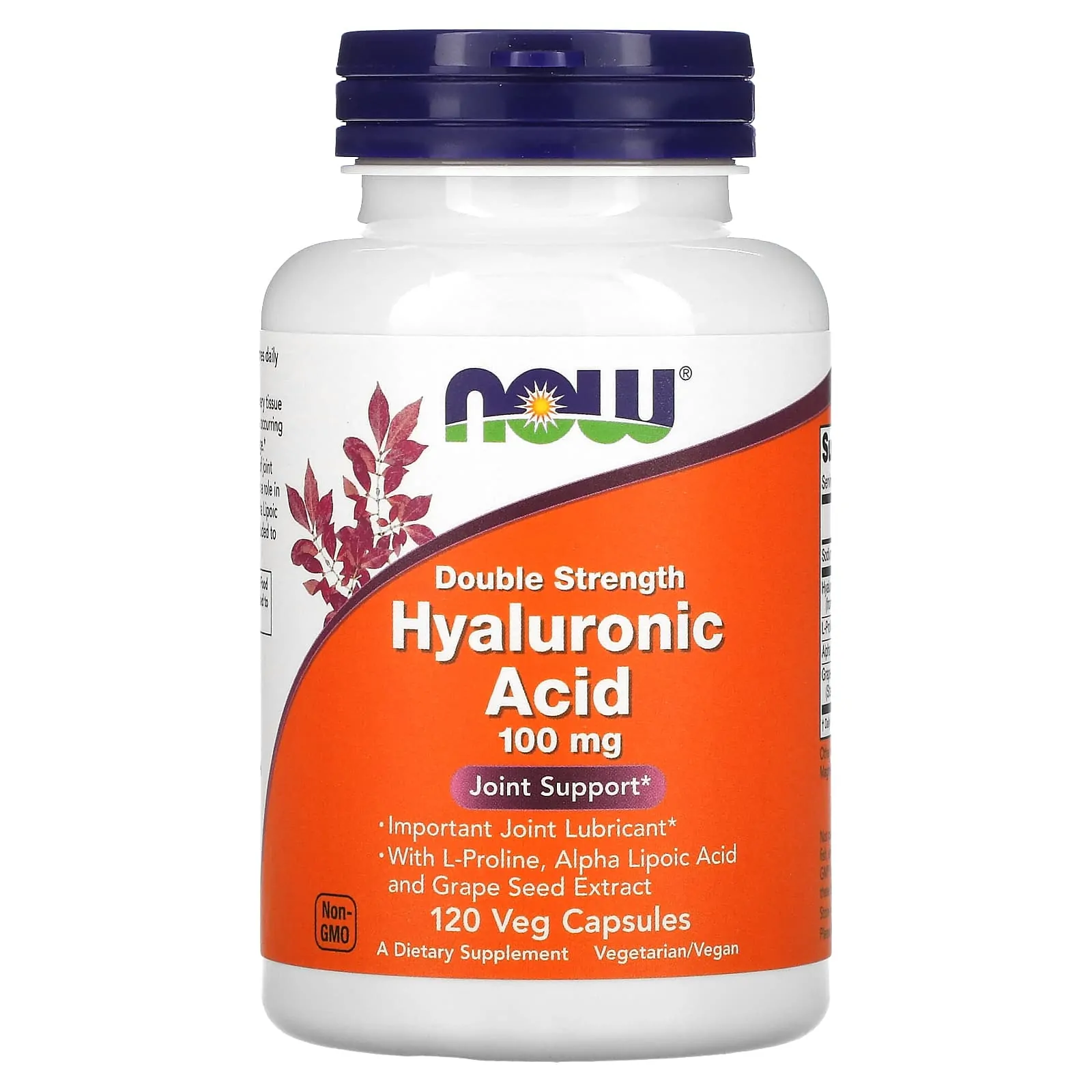 NOW Foods Acide Hyaluronique 100 mg 120 Capsules Végétales