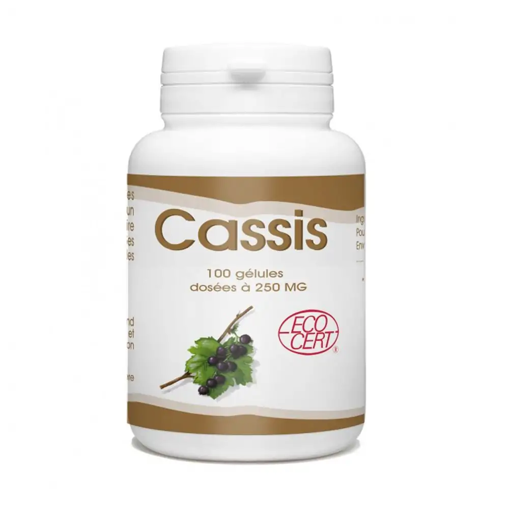 Promo ! GPH Diffusion Cassis 250mg 100 Gélules