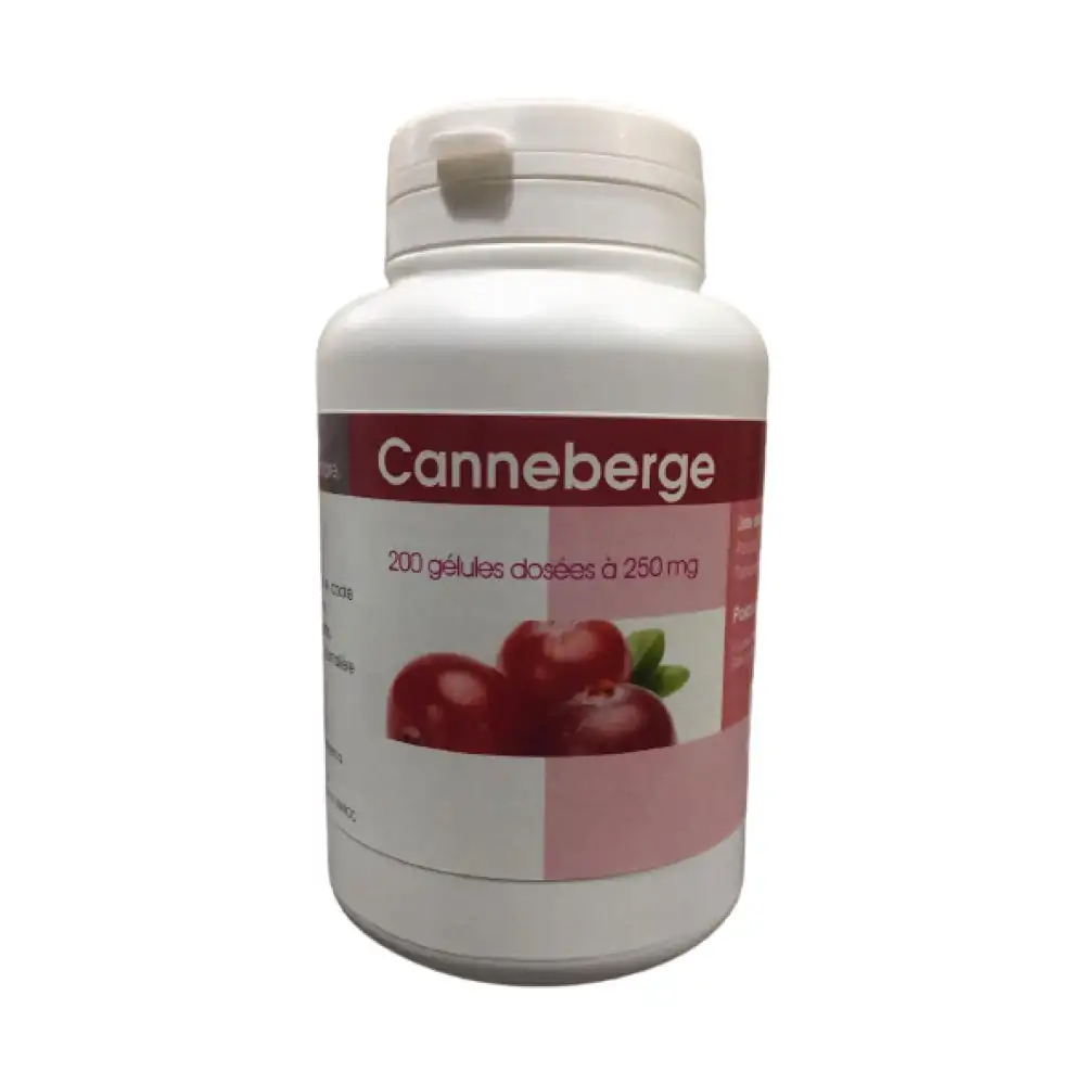 Promo ! GPH Diffusion Canneberge 250 mg 200 Gélules