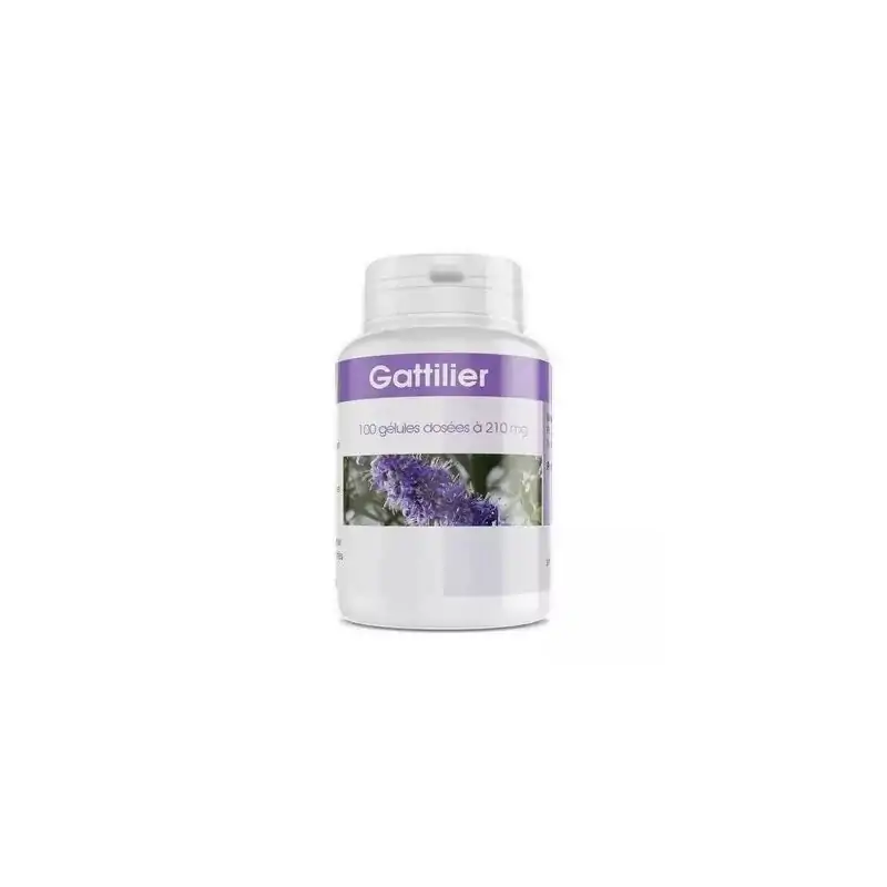 Promo ! GPH DIFFUSION Gattilier 210 Mg | 100 Gélules