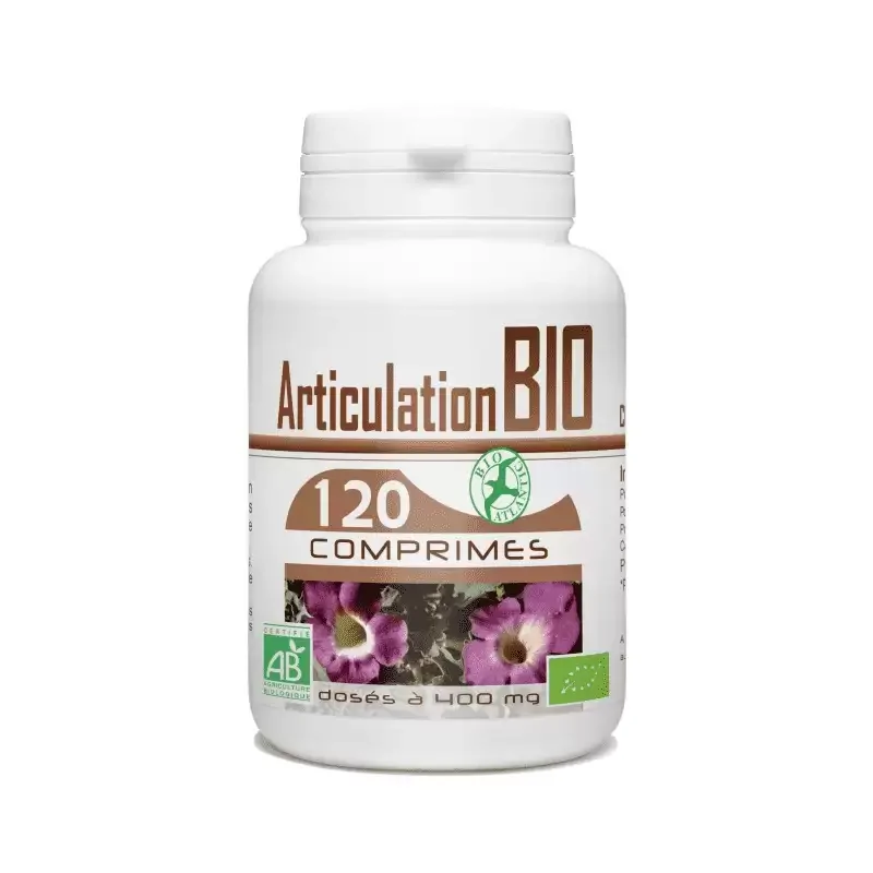GPH DIFFUSION Articulation 400 mg | 120 comprimés