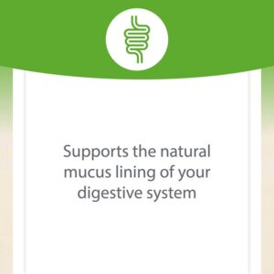 Natural Factors DGL 400 mg · Racine de réglisse déglycyrrhizinée 90 comprimés à croquer