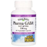 Natural Factors Stress Relax, Pharma GABA, 100 mg, 60 Vegetarian Capsules
