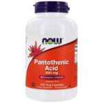Now Foods pantothénique Acide 500 mg, 250 capsules végétariennes