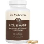 Real Mushrooms Hydne hérisson, Extrait de champignon en poudre, 120 capsules